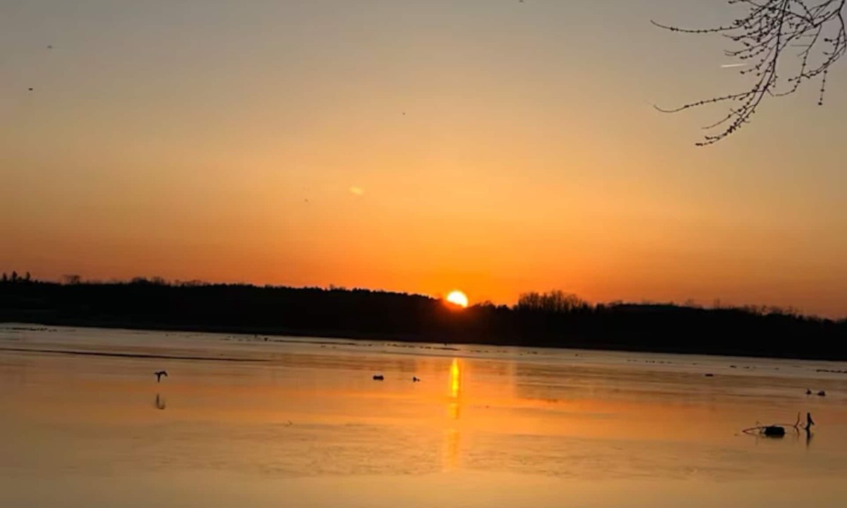 Cobden House | Gorgeous lake front and Amazing sunset . Retreat: Fun, Relaxation, and Nature.