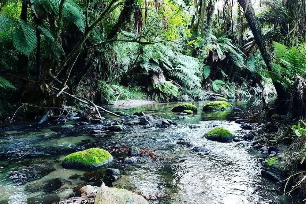 Rotorua House | Gorgeous Rotorua Accommodation Perfect for Luxury Glamping, North Island