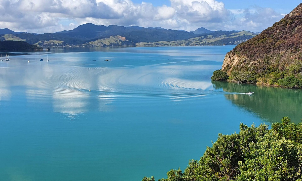 Coromandel House | Gorgeous Waterfront Views and Private Access to Bay