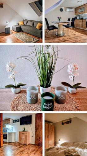 Dravograd House | Gostilna The RIVER