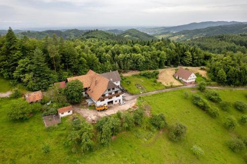 Kutt Apartment | Grüner Ausblick