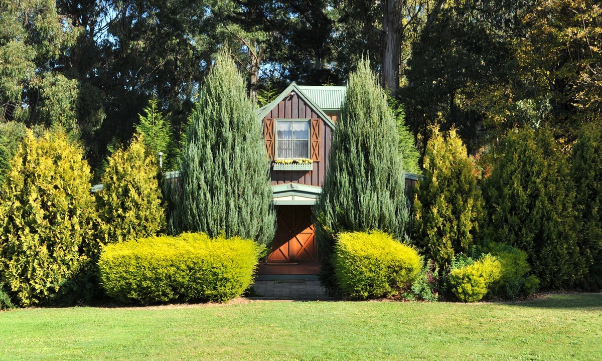 Olinda Bed & Breakfast | Gracehill
