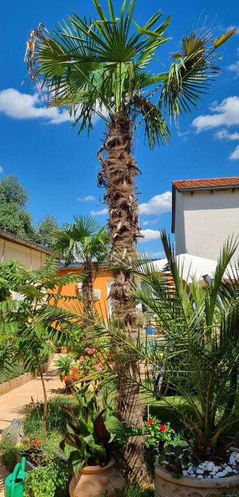 Frankenheim-Lindennaundorf Apartment | Grahl´s Ferienwohnung