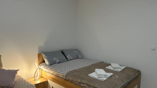 Center Apartment | Grajski kamen apartment