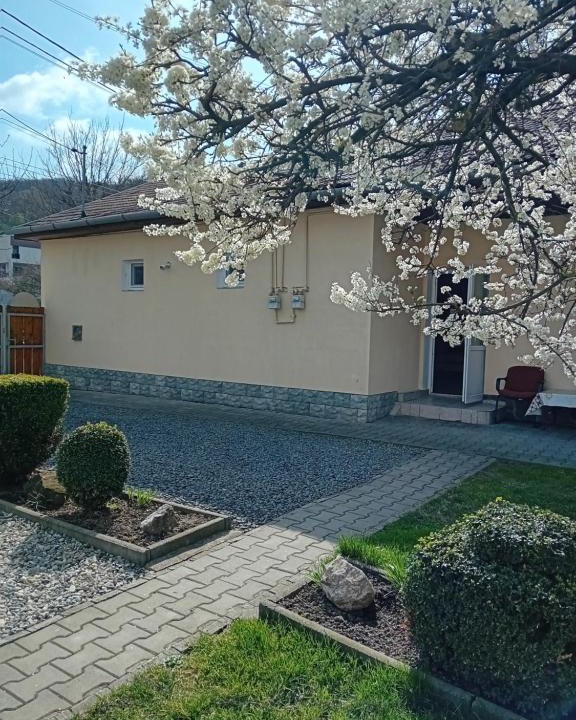 Medias House | Grande
