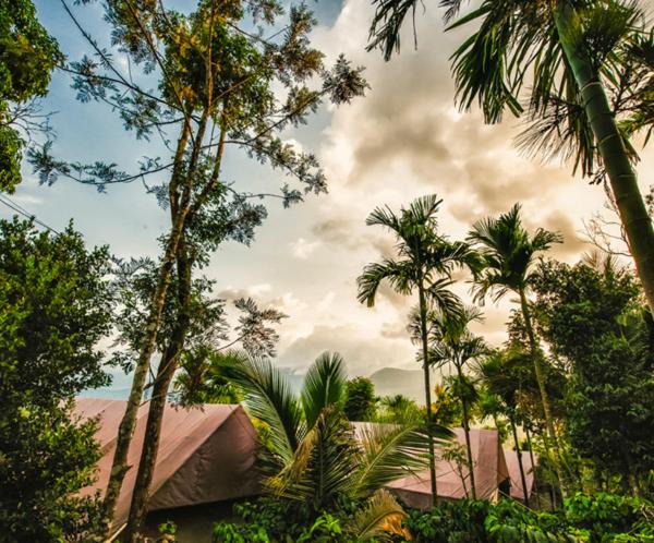 Pinangode Other | Grassroots Wayanad, Valley-view Tents