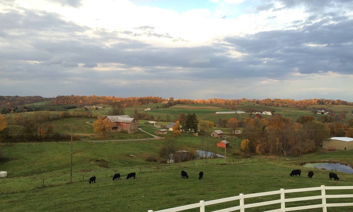 Millersburg House | Great for Friends & Families, Breathtaking View, Nature Trails, Farm Animals