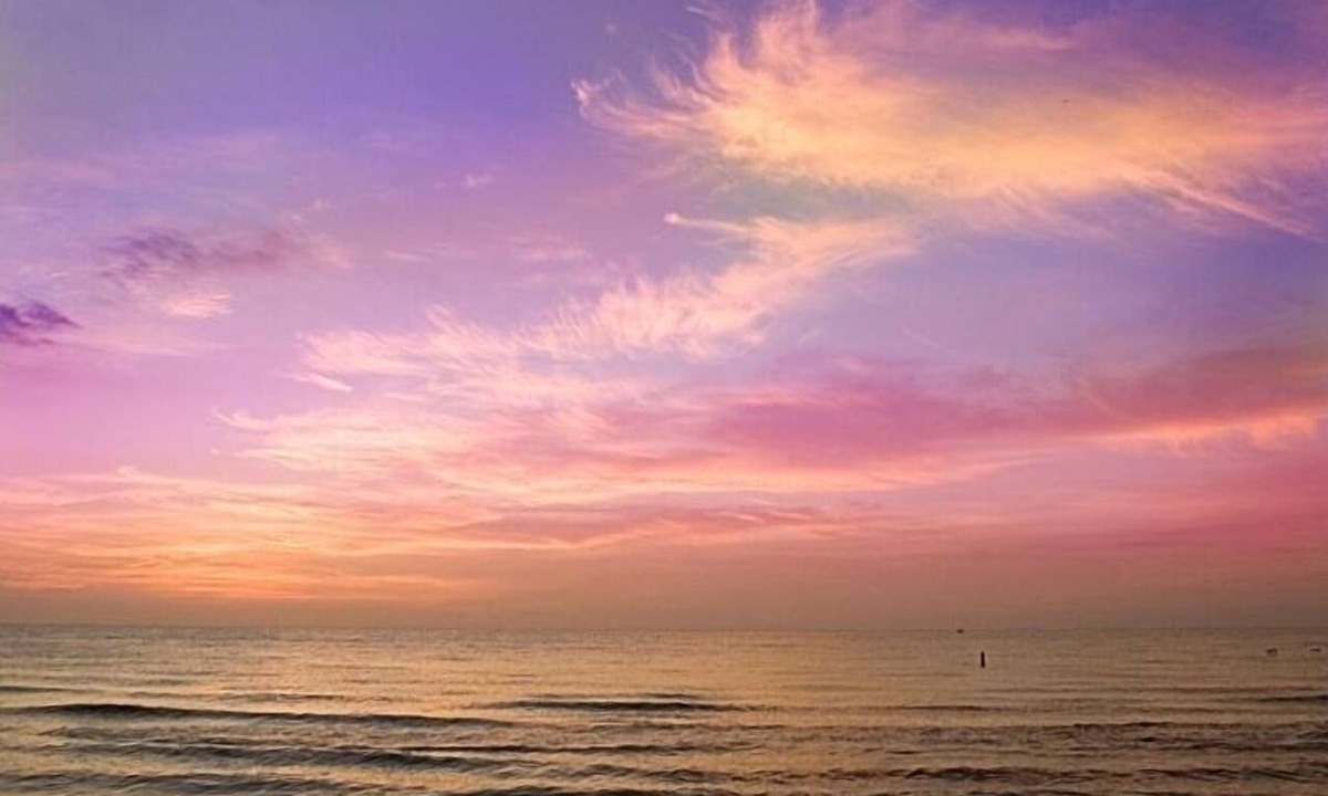 Clearwater Beach Apartment | Great Studio - Under 2 minute walk to beach where dogs are welcome