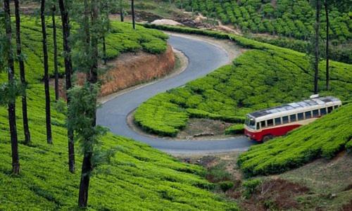 Elappara House | Green and Green