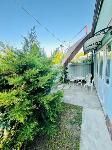 Onesti House | Green House