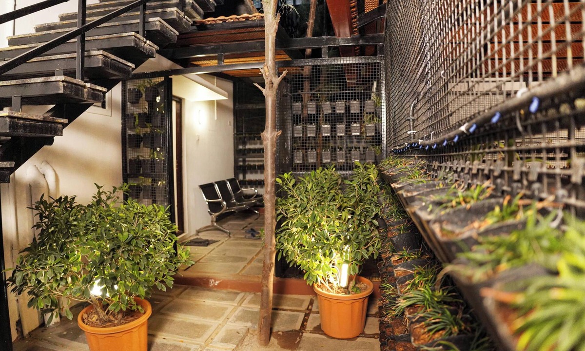 Pollachi Hotel | GREEN MOUNT RESORTS