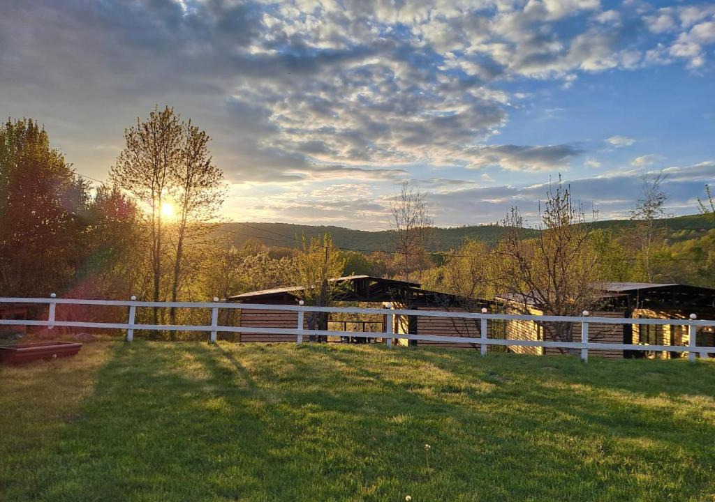 Sovata House | Greengold