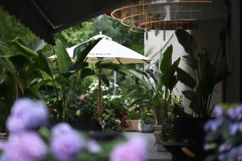 Jinniu Hotel | Grey Parrot Resort Hotel