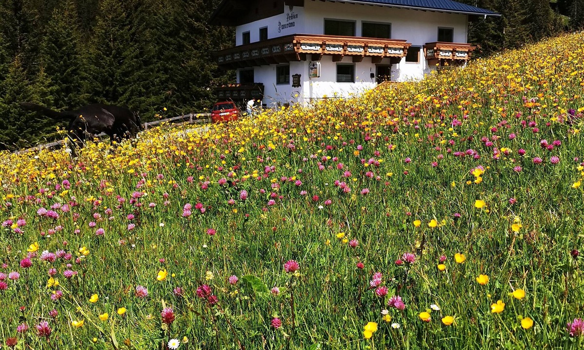 Steeg Cottage | Group living with a difference