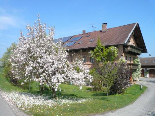 Riedering House | Gschwingerhof