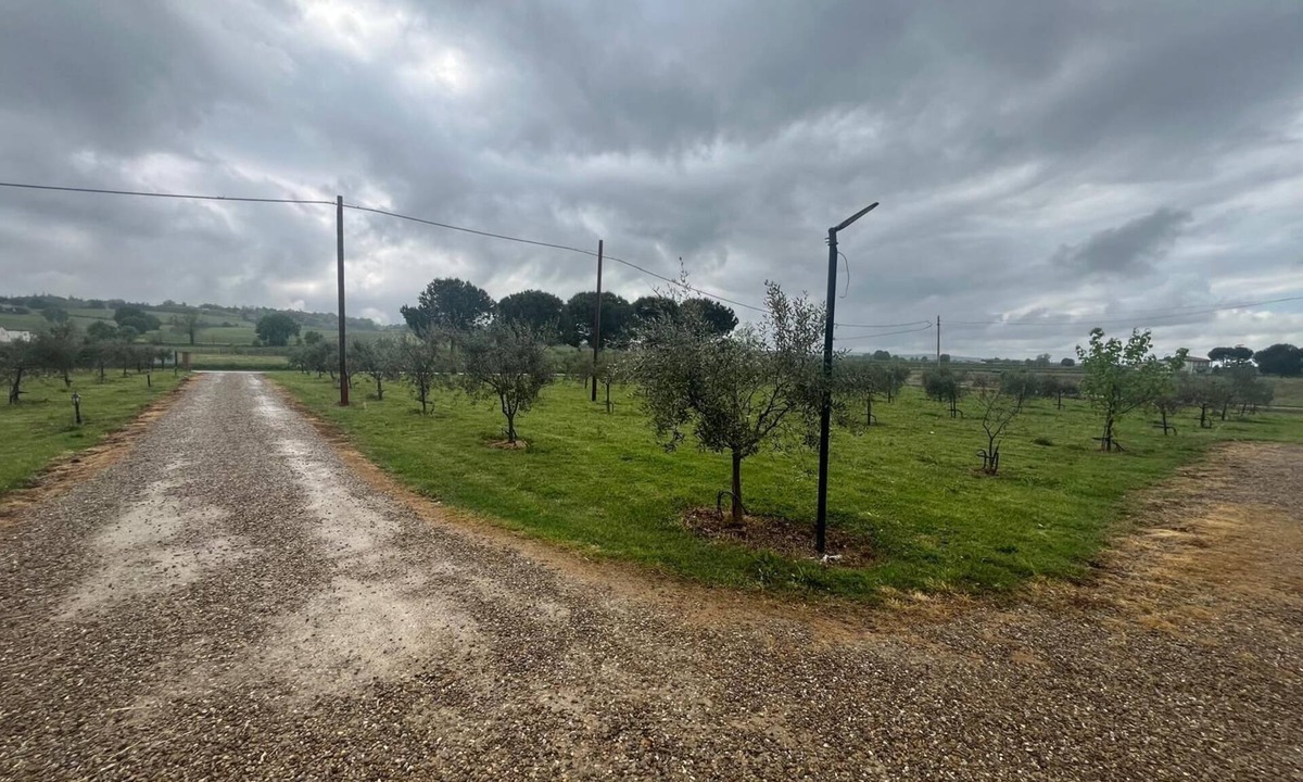 Oriolo dei Fichi Bed & Breakfast | GUEST HOUSE SAN MAMANTE - APARTMENT "IRIS"