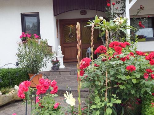 Neustadt-Geinsheim House | Guesthouse König