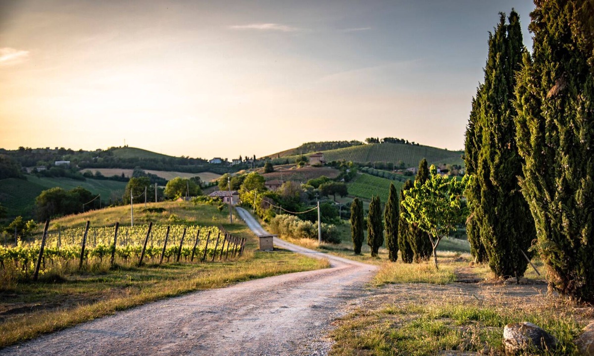 Montalto delle Marche House | Guided E-bike Tours (1h sea or mountain) with Restaurant available at stay