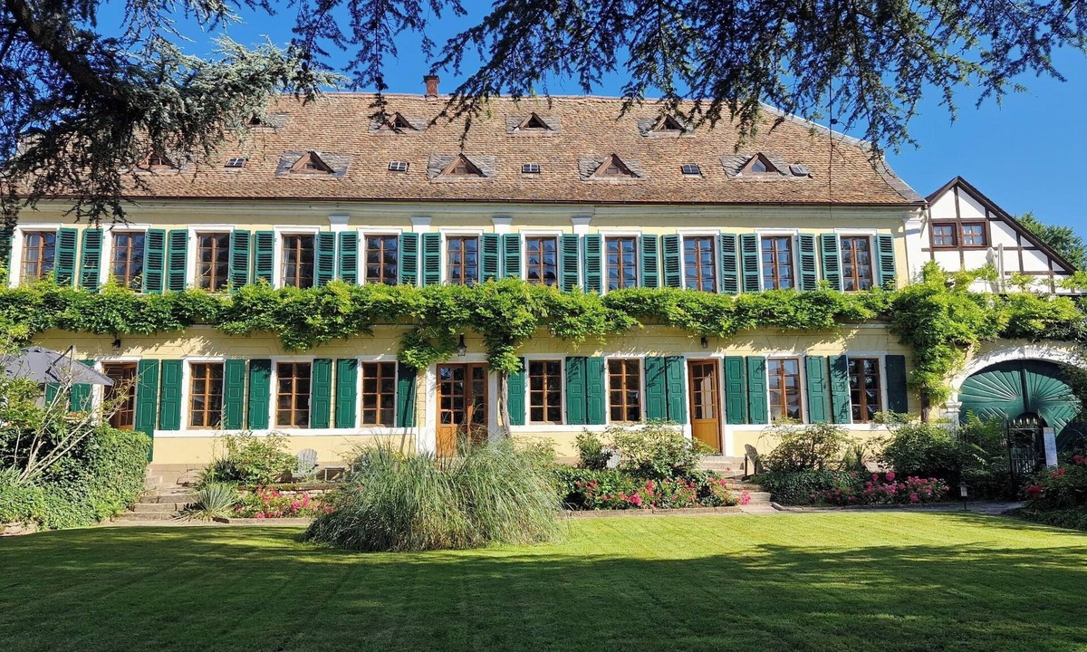 Bad Duerkheim Apartment | Gutshause Suite #1 "elisabeth" im Weingut Fitz-ritter - Vdp/biozertifiziert