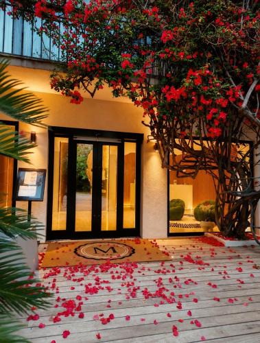 Porto-Vecchio Hotel | Hôtel Le Mistral