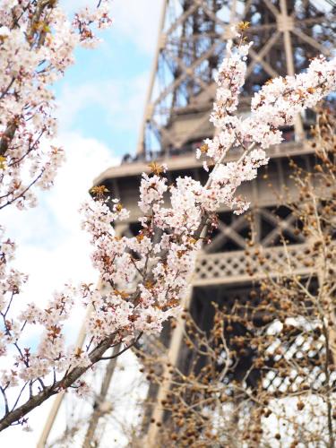 6th Arrondissement Hotel | Hôtel Recamier