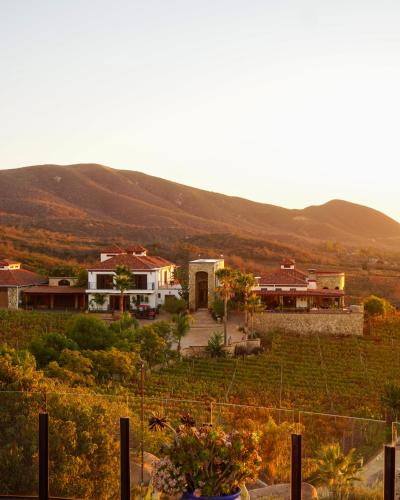 Valle de Guadalupe Bed & Breakfast | Hacienda Martlot