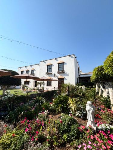 Zona Centro Hotel | Hacienda San Angel