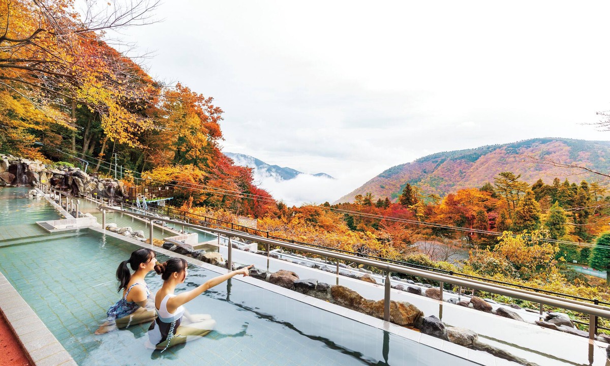 Hakone Hotel | Hakone Kowakien