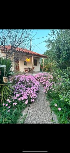 Skala Eresou House | Hakuna Matata