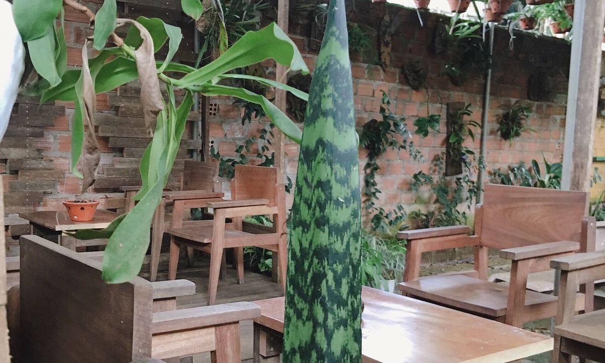Pleiku House | Hani House