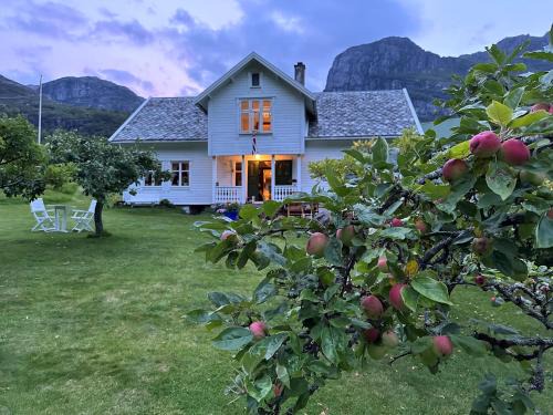 Lysebotn Bed & Breakfast | Hauane Bed and Breakfast
