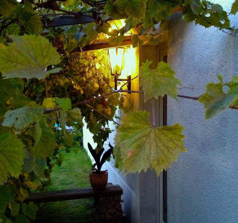 Knautkleeberg House | Haus am Pool