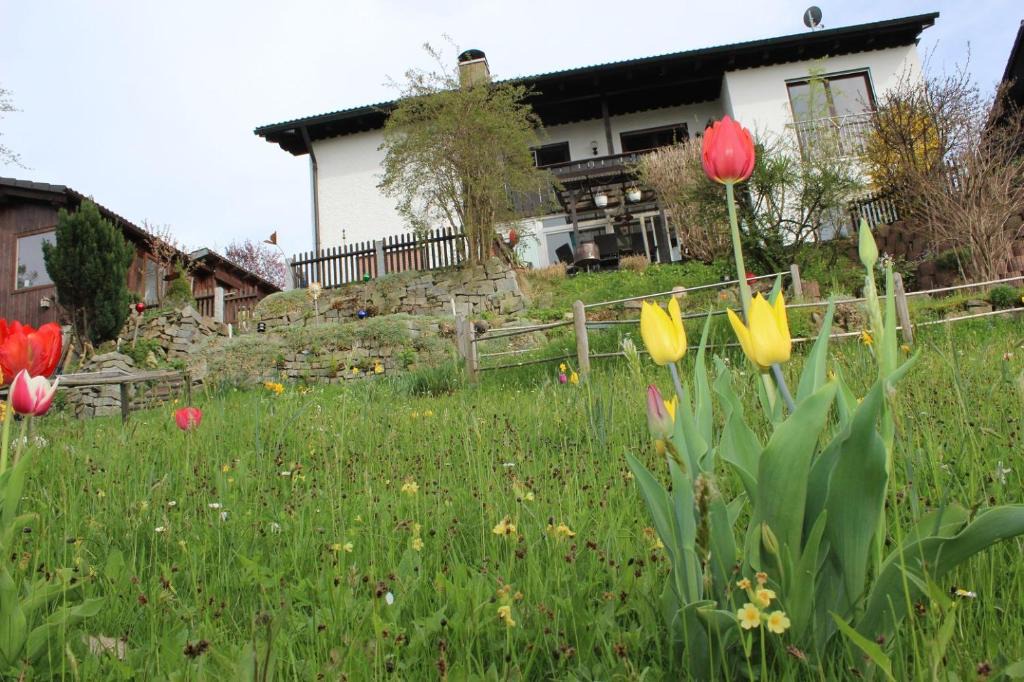 Waldkirchen Apartment | Haus Koblizek