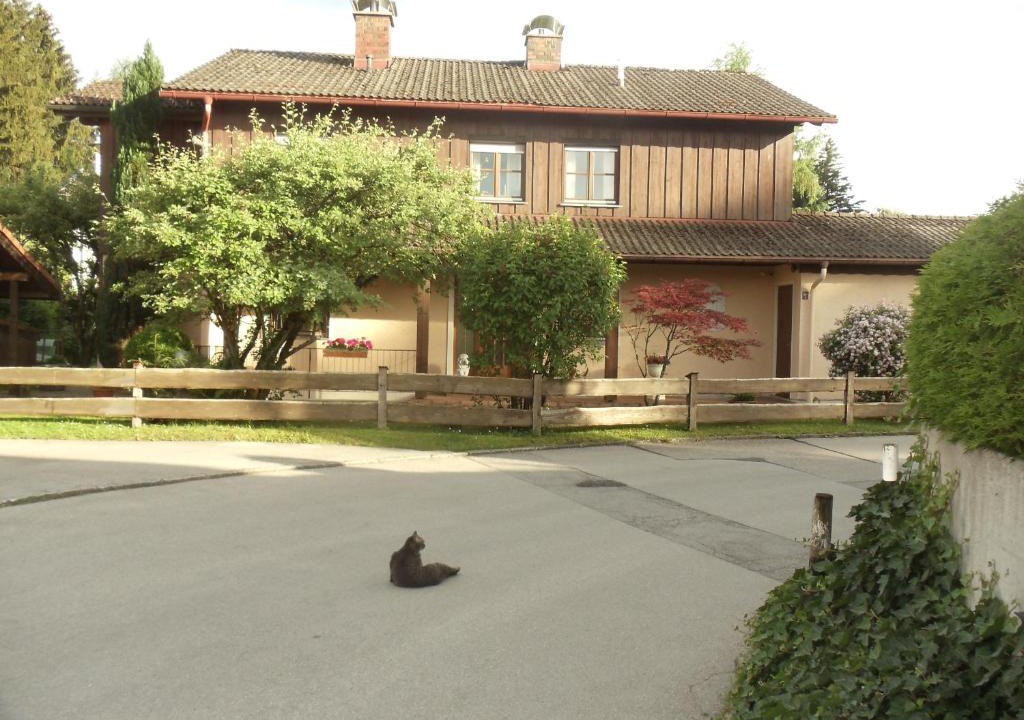 Siegsdorf Apartment | Haus Martina