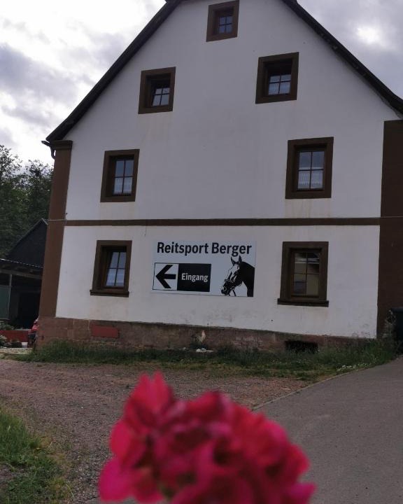 Homburg Apartment | Haus Monika