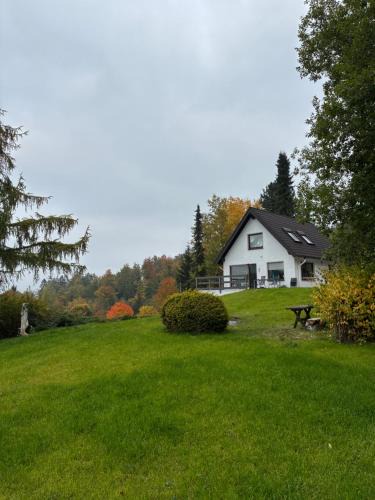 Stadtkyll House | Haus Tierlieb