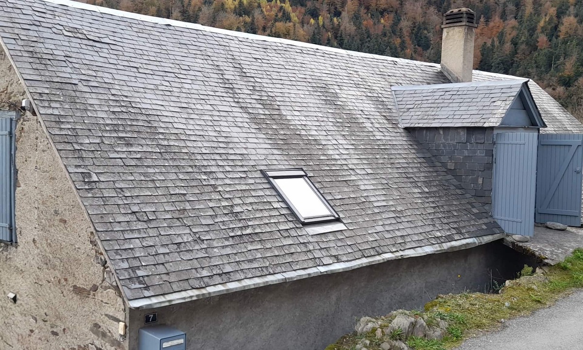 Barrancoueu House | Hautes-Pyrénées-near Saint-Lary (10 pers)-crossroads of the Aure and Louron valleys.