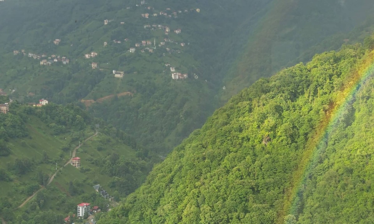 Ayder House | Havalı Bungalov-1 jakuzili Dere ve Şelale Manzaralı Süit Bungalow