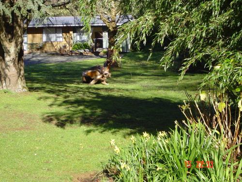 Havelock Hotel | Havelock Garden Motel