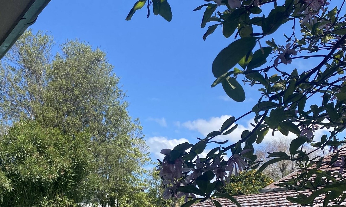 Havelock North House | Havelock Hideaway - A relaxing holiday home with a pool!