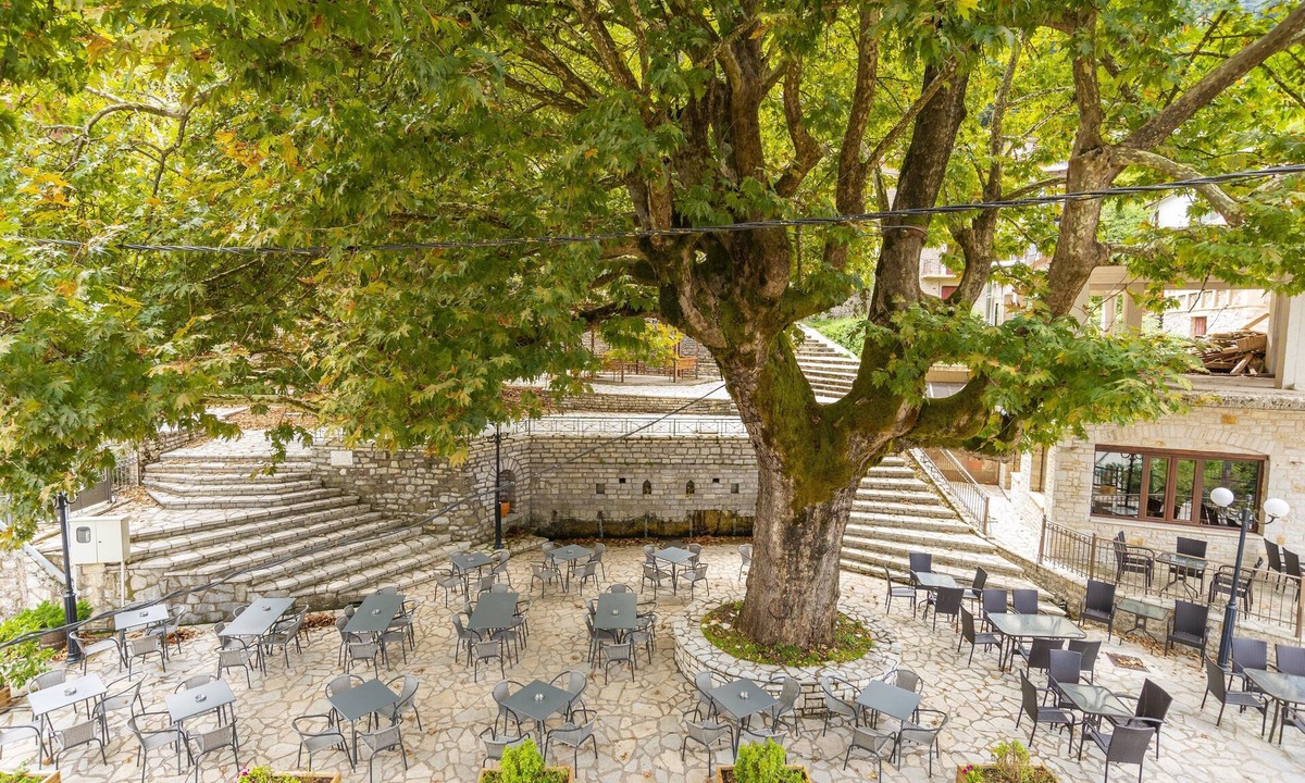 Mikro Chorio Hotel | Helidona