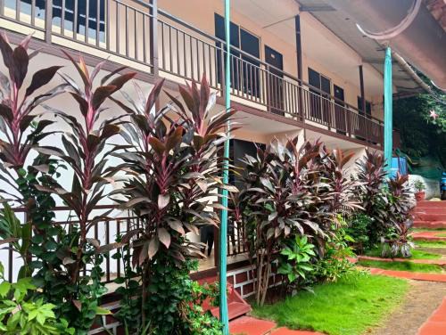 Ashvem House | Helix resort