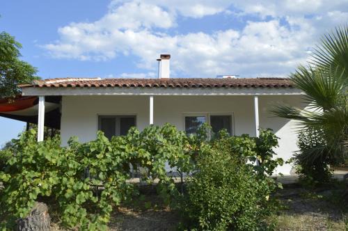 Litochoro Apartment | Hephaestus Appartments Litochoro A3