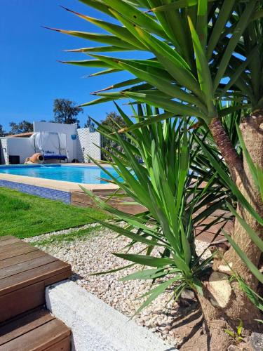 Canha House | Herdade da Cova da Onça
