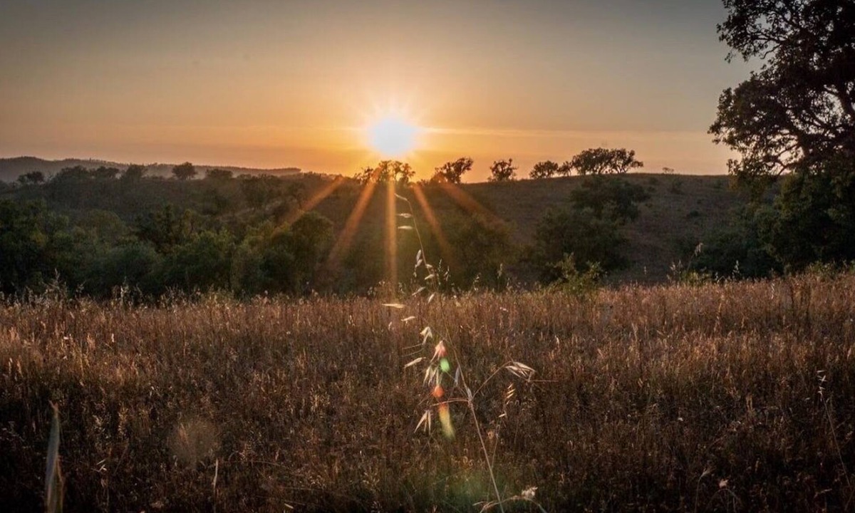 Santa Maria Cottage | Herdade da Maceira