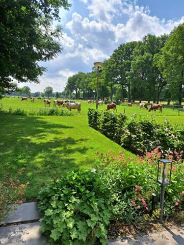 Wezep Bed & Breakfast | Het Broekeroord
