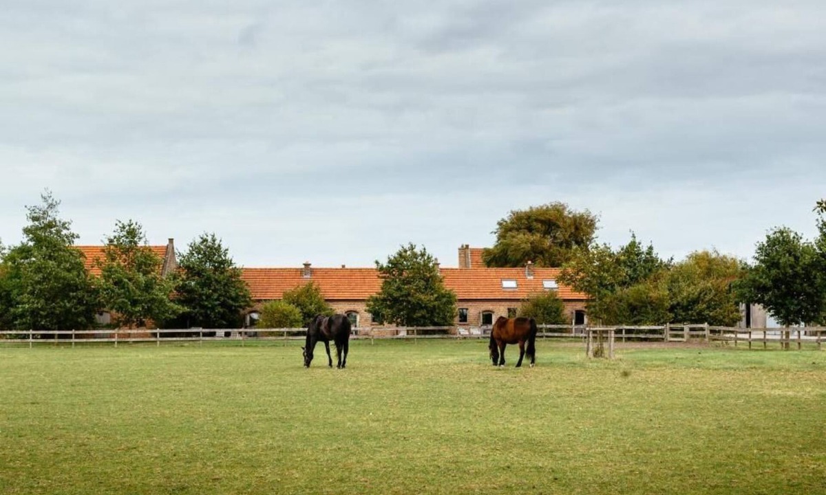 Slijpe House | Het Zwaluwnest