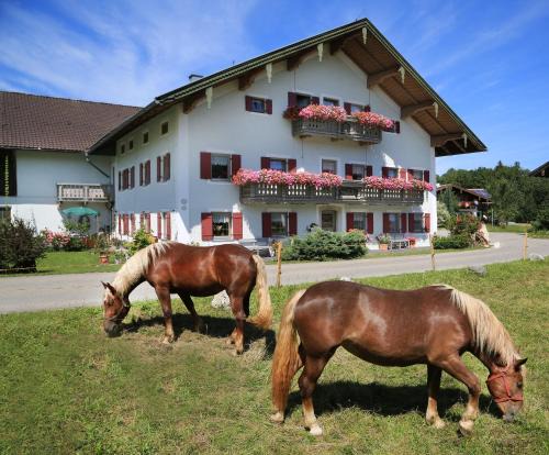 Siegsdorf House | Heutauer Hof