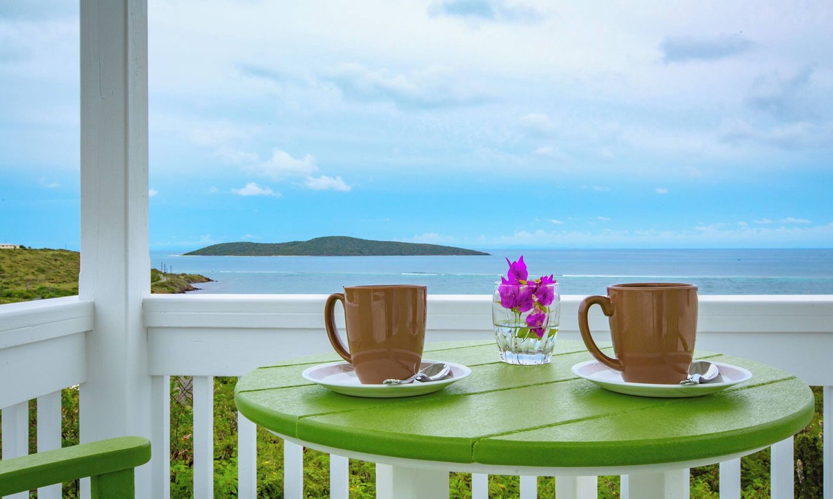 Estate Teague Bay Villa | HGTV & People Magazine featured Villa! Large Pool & Best Ocean View on Isle!