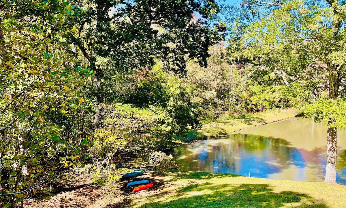 Athens Apartment | Hidden Gem! Lakeside two bedroom private entrance apartment with large yard.